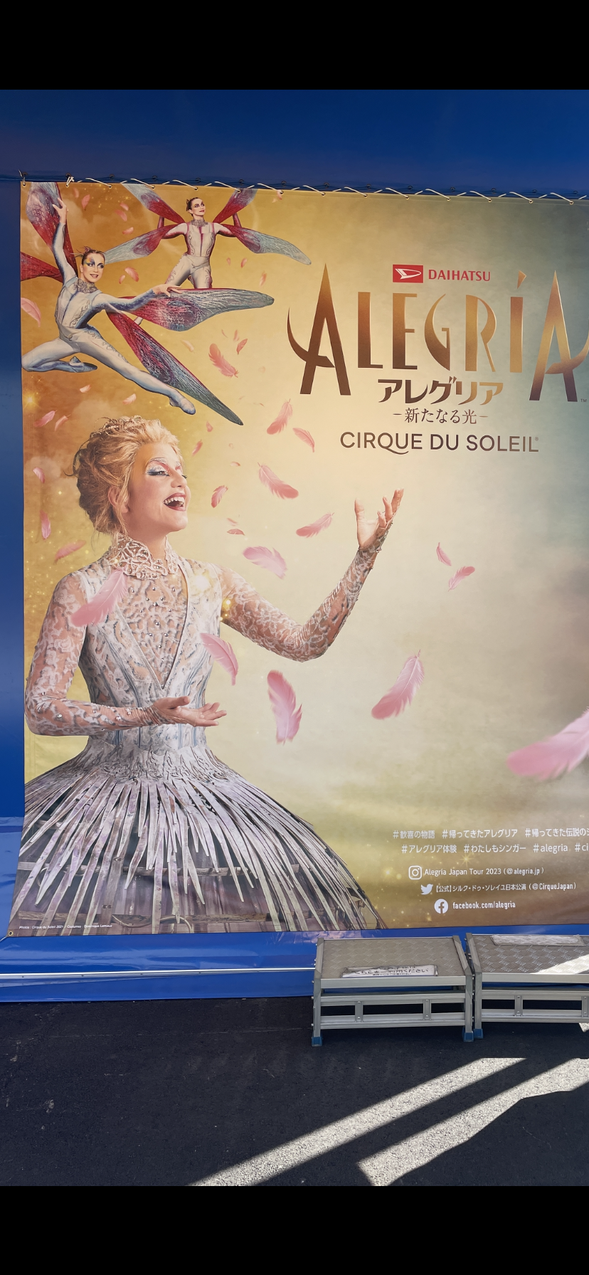 アレグリア〜 アレグリア〜